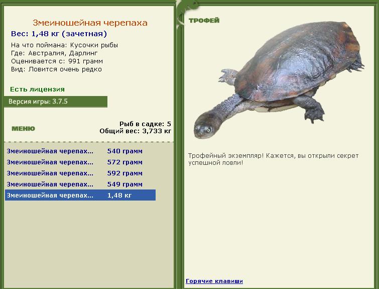 Кроноцкий залив 