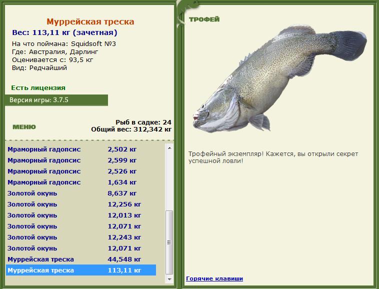 Кроноцкий залив 