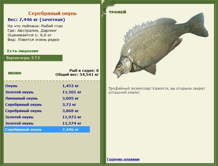 Кроноцкий залив 
