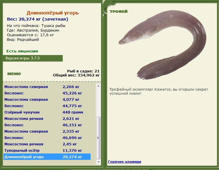 Кроноцкий залив 