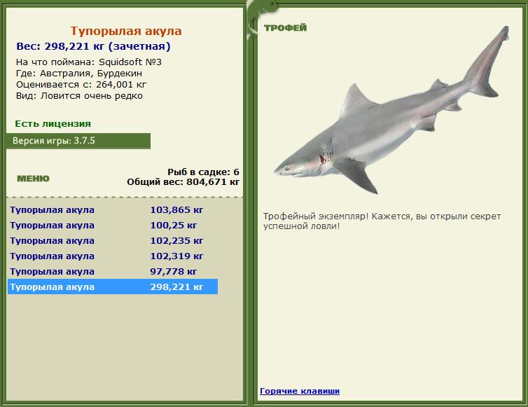 Кроноцкий залив 