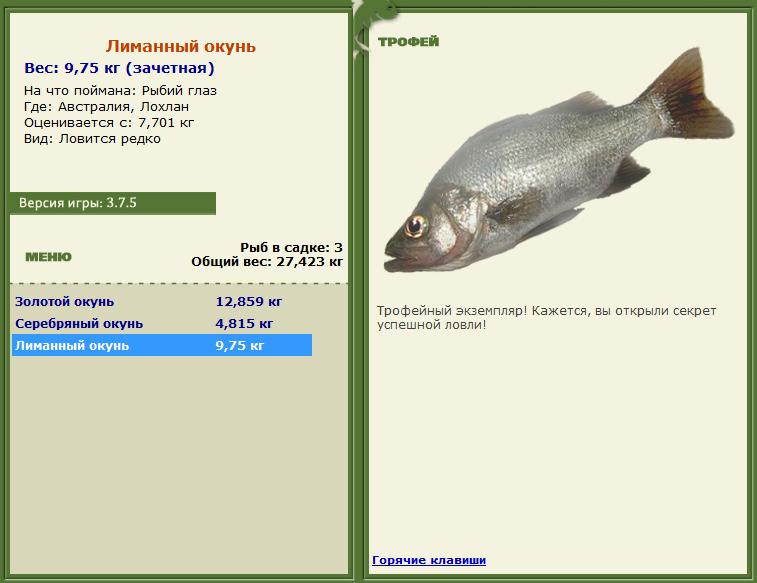 Кроноцкий залив 