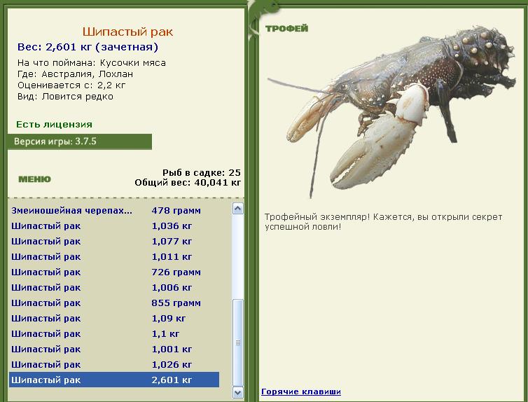 Кроноцкий залив 