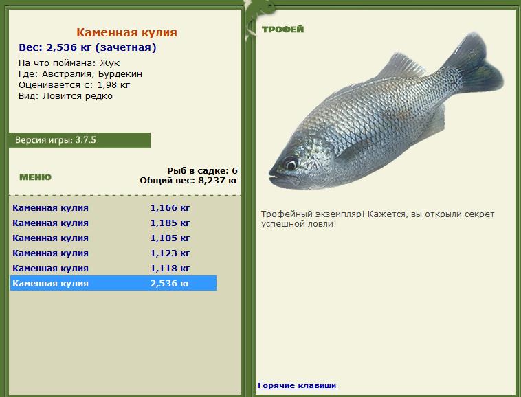 Каменная кулия 
