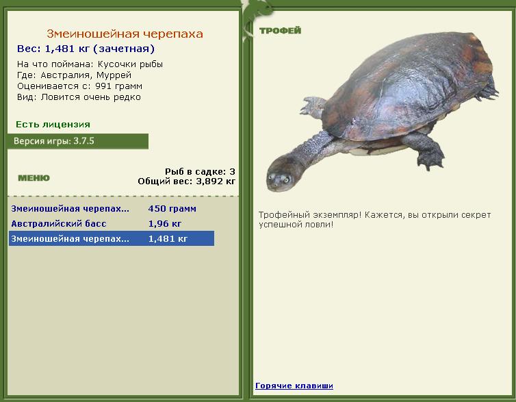 Кусочки рыбы 