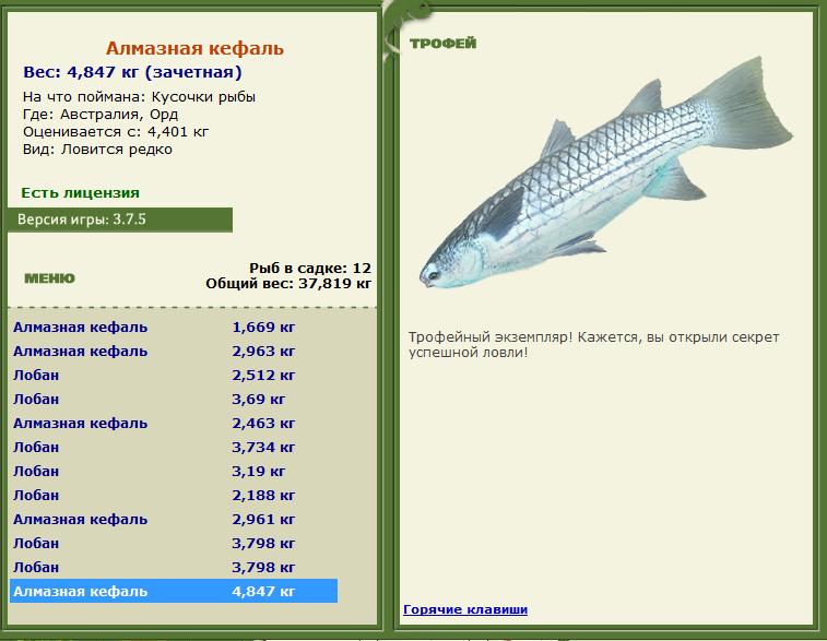 Алмазная кефаль 