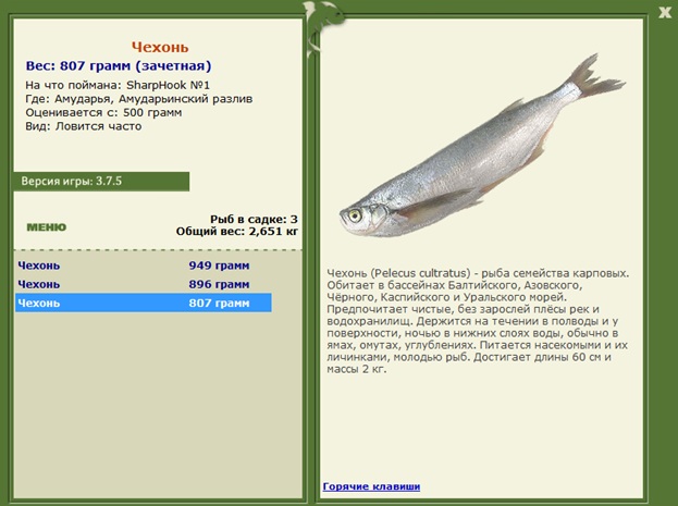 Амударьинский разлив 