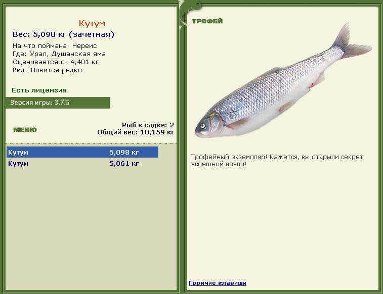 Нереис 