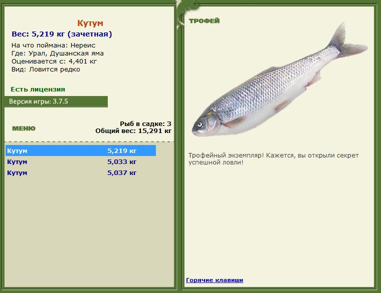 Нереис 