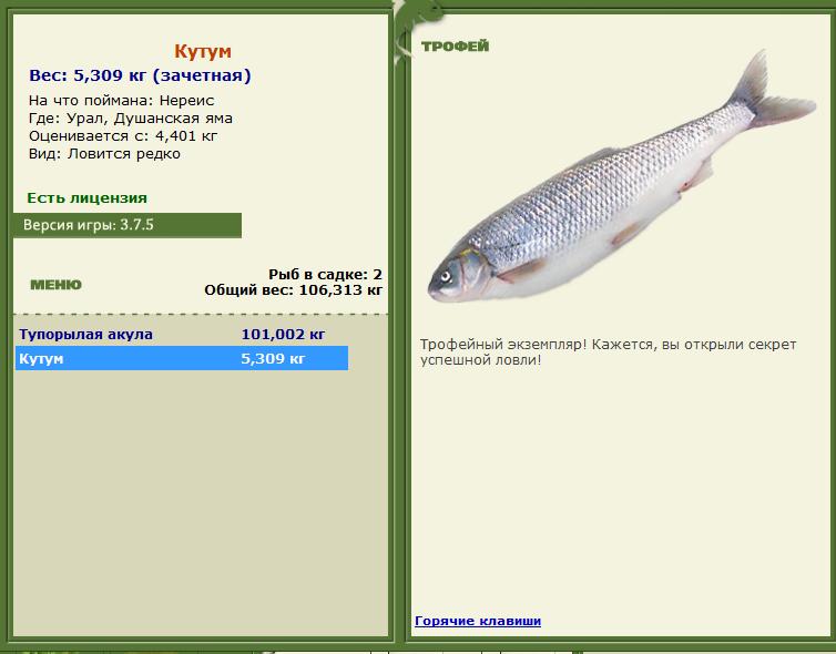 Нереис 