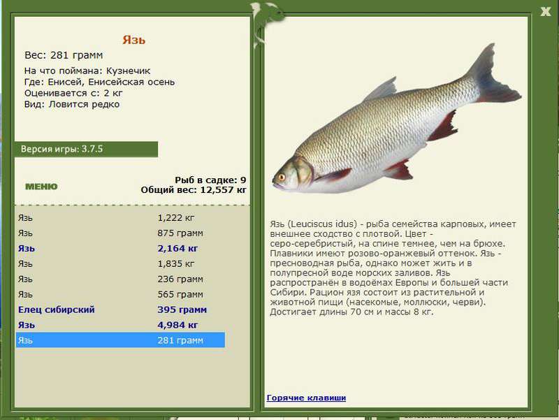 РУССКАЯ РЫБАЛКА Installsoft Edition 
