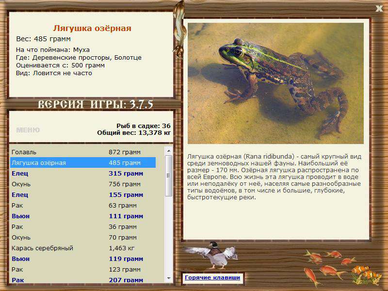 РУССКАЯ РЫБАЛКА Installsoft Edition 