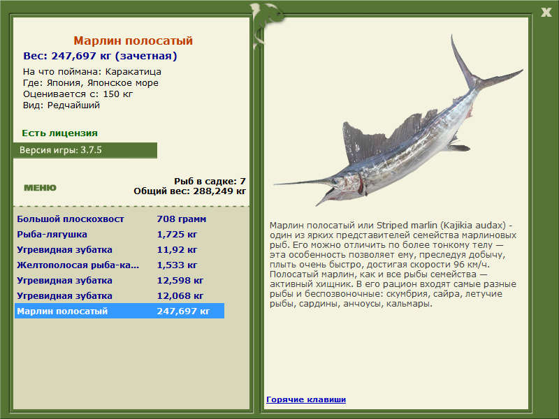 Японское море 
