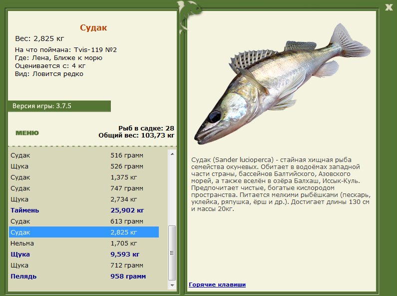 Ближе к морю 