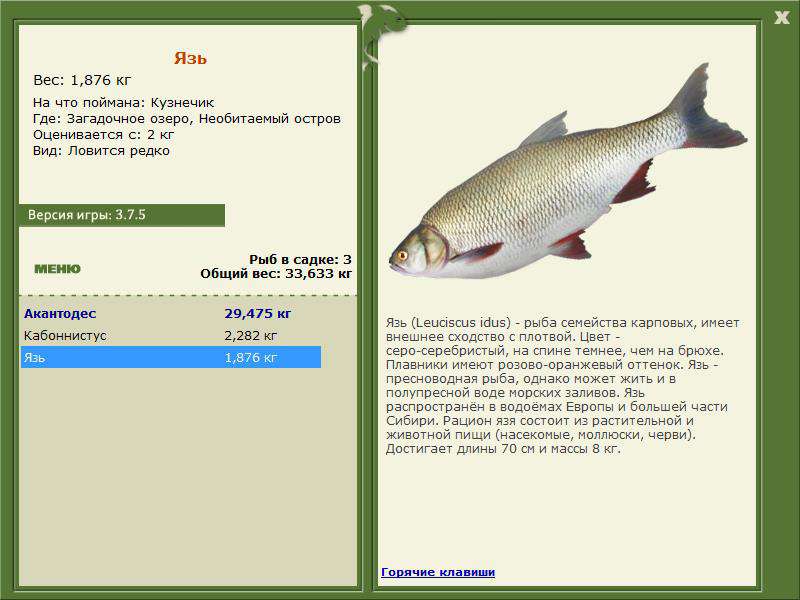 Загадочное озеро 