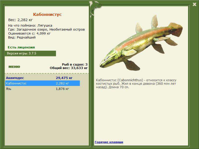 Загадочное озеро 