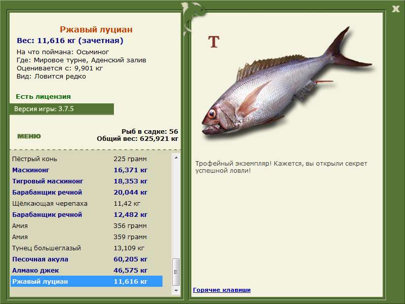 Ржавый луциан 