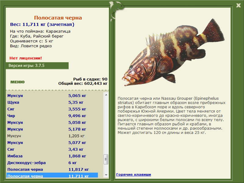 турниры • РУССКАЯ РЫБАЛКА