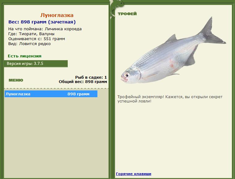 белка • Рыбы • РУССКАЯ РЫБАЛКА