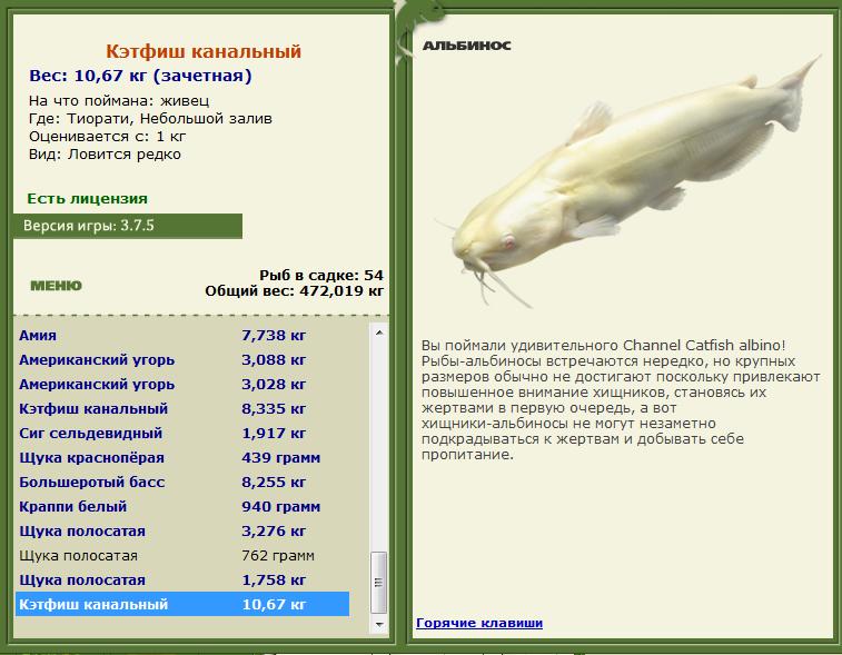 белка • Рыбы • РУССКАЯ РЫБАЛКА