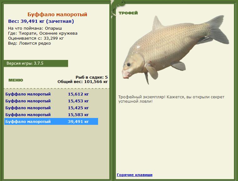 белка • Рыбы • РУССКАЯ РЫБАЛКА