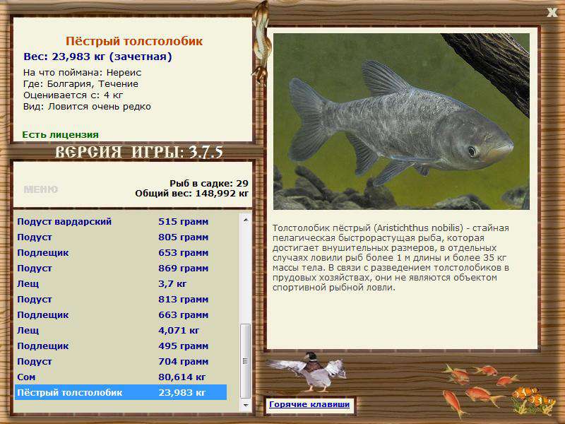 РУССКАЯ РЫБАЛКА Installsoft Edition 