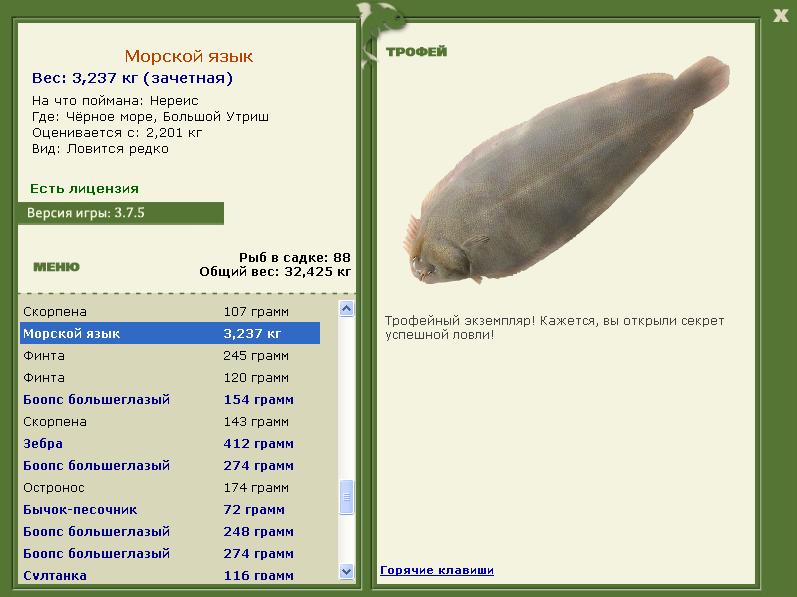 Морской язык 