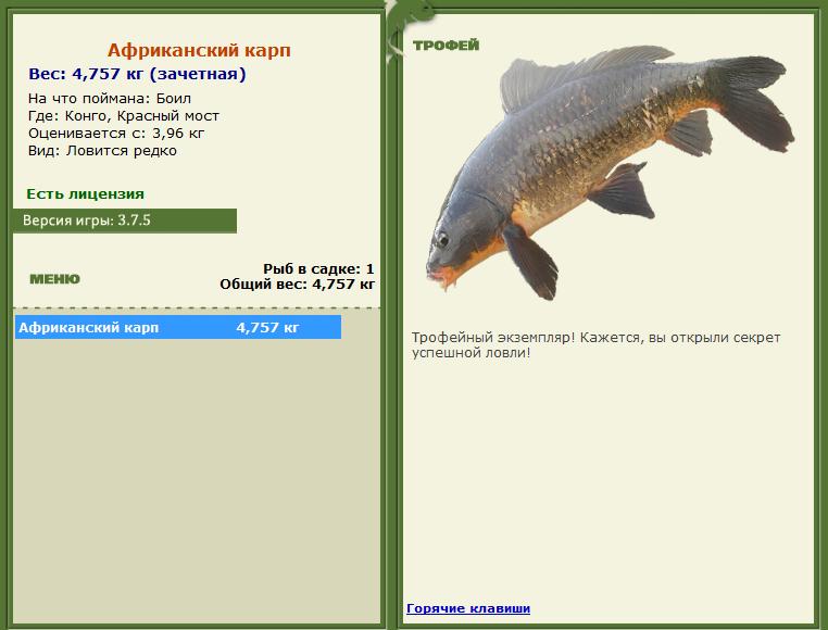 Бойл 