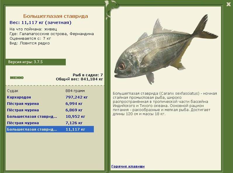 турниры • РУССКАЯ РЫБАЛКА