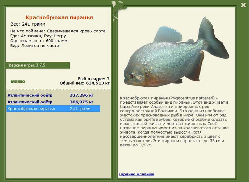 Негру • Амазонка • РУССКАЯ РЫБАЛКА