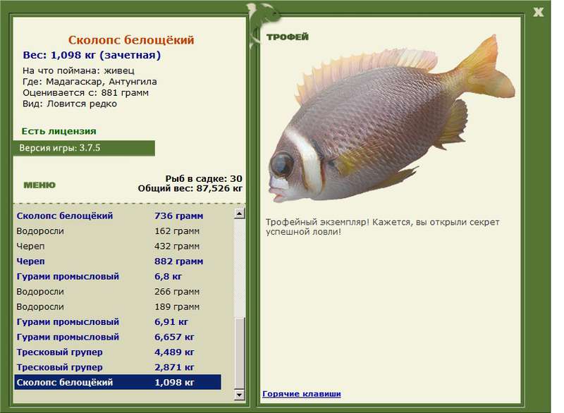 РУССКАЯ РЫБАЛКА Installsoft Edition 