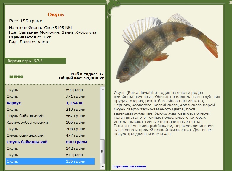 Залив Хубсугула 