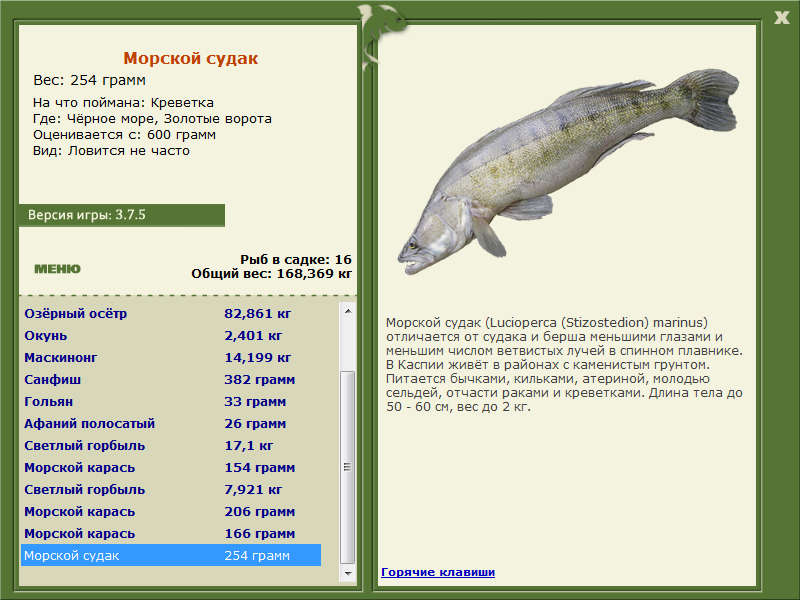 Золотые ворота 