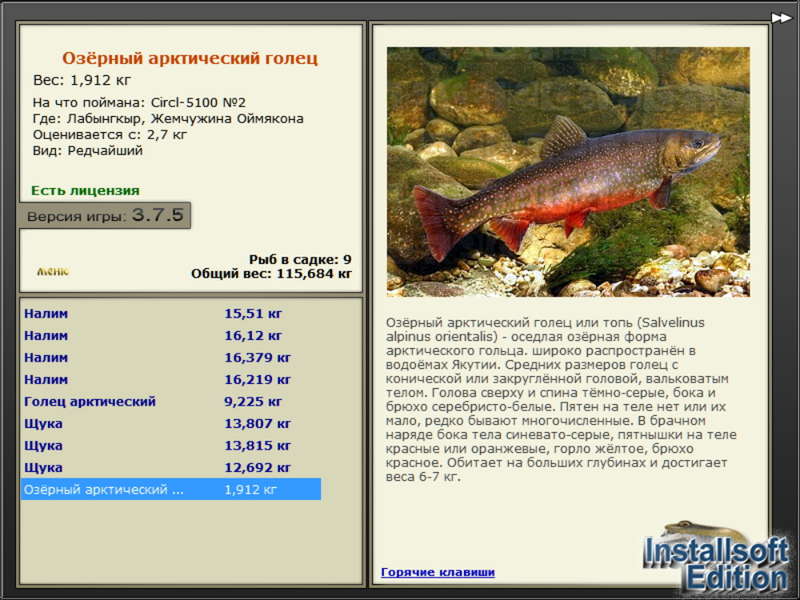 турниры • РУССКАЯ РЫБАЛКА