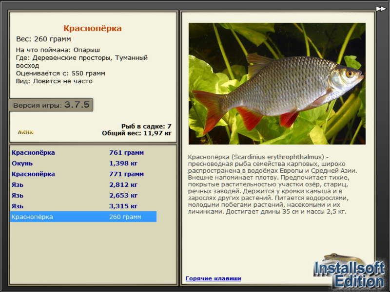 турниры • РУССКАЯ РЫБАЛКА