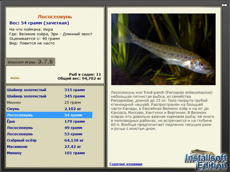 Великие озёра 
