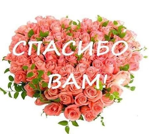 ФОРУМ ЛЮБИТЕЛЕЙ КОЛЛИ И ШЕЛТИ 