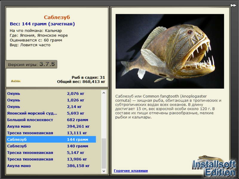 Японское море 