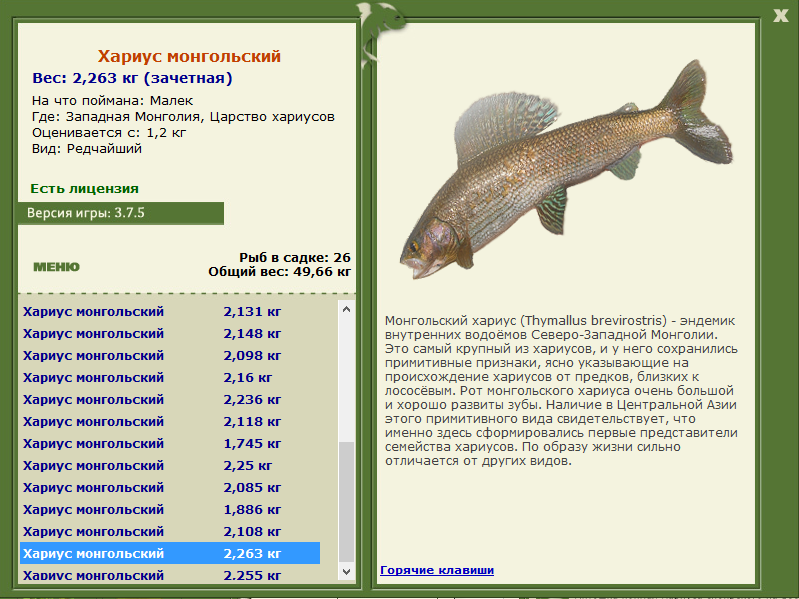 Царство хариусов 
