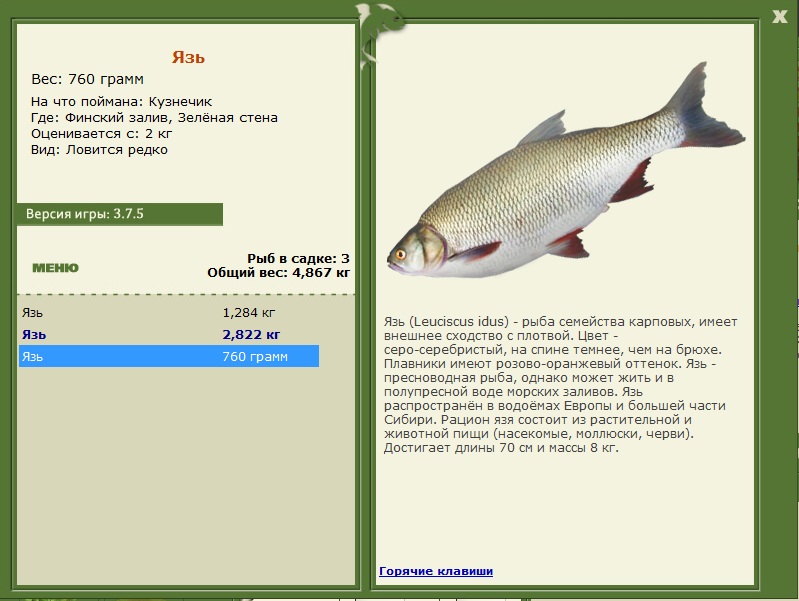 Зелёная стена 