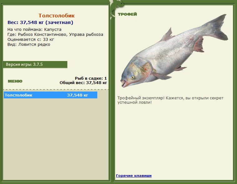 Капуста 