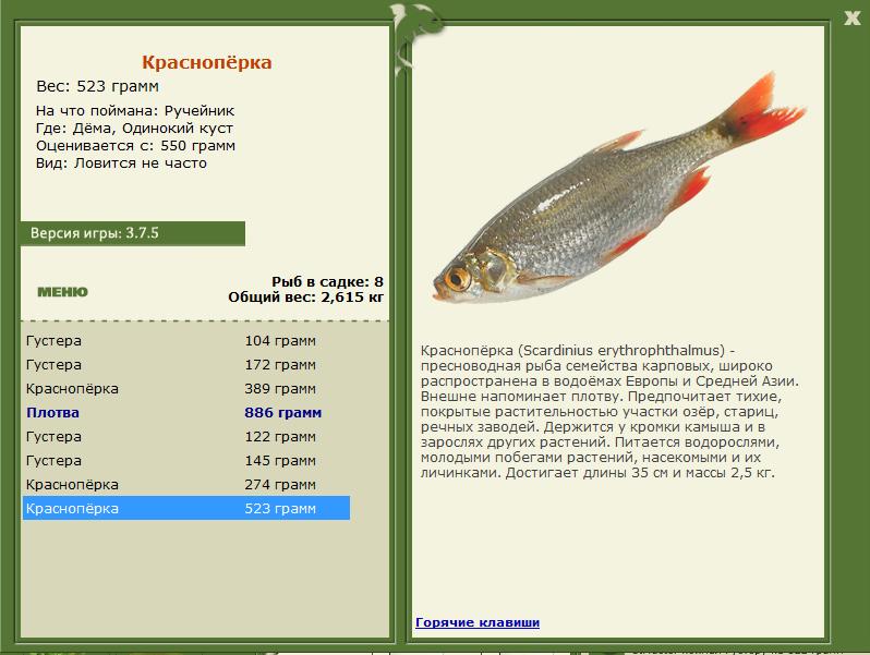 РУССКАЯ РЫБАЛКА Installsoft Edition 