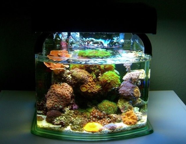 Аквариум Nano Reef