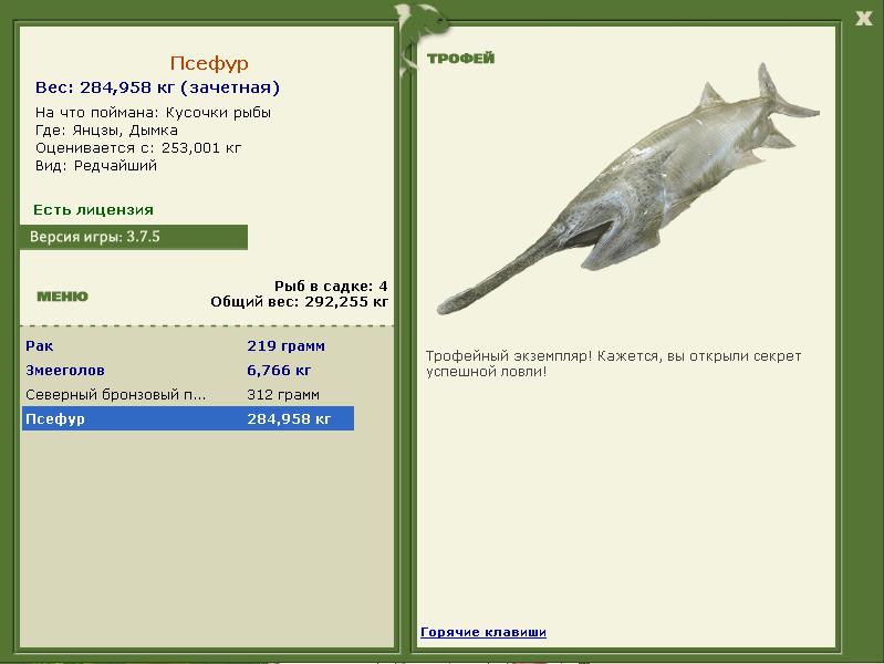 Псефур 