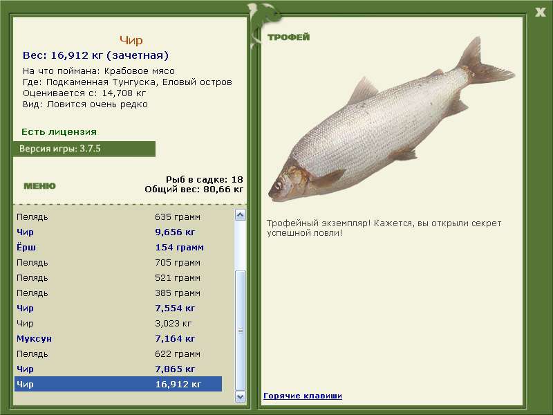 Еловый остров 