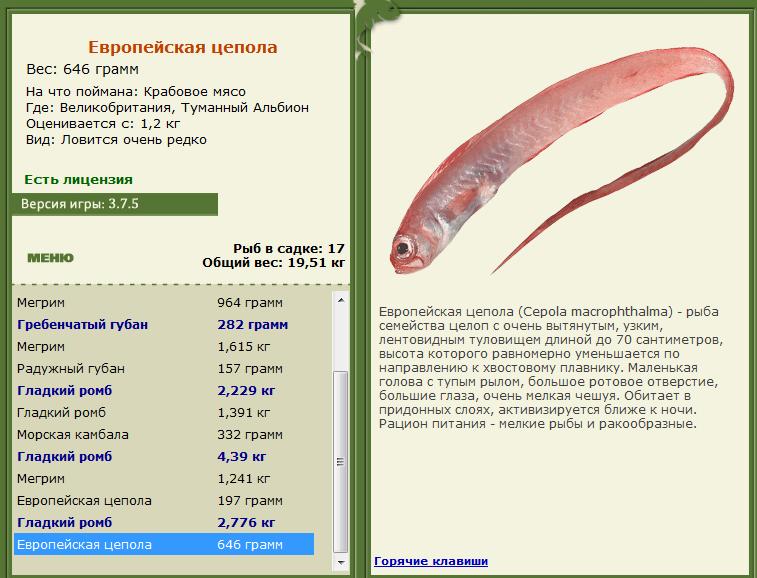 Туманный Альбион 