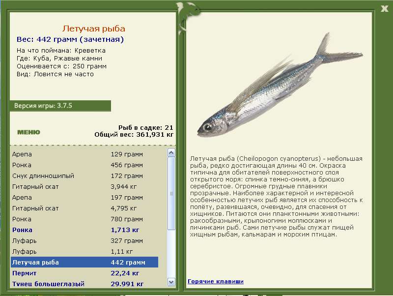 Куба 