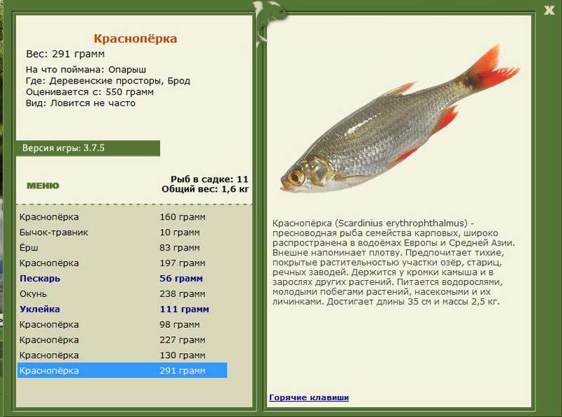 РУССКАЯ РЫБАЛКА Installsoft Edition 