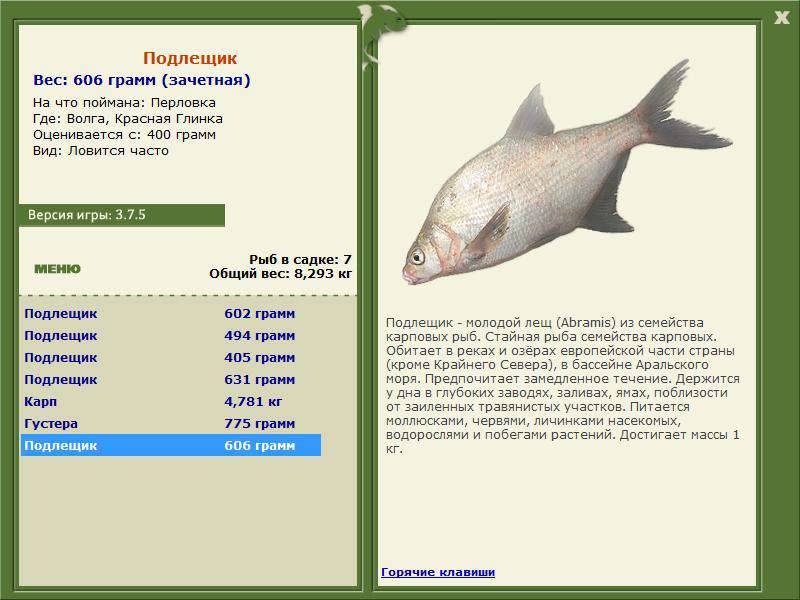 РУССКАЯ РЫБАЛКА Installsoft Edition 