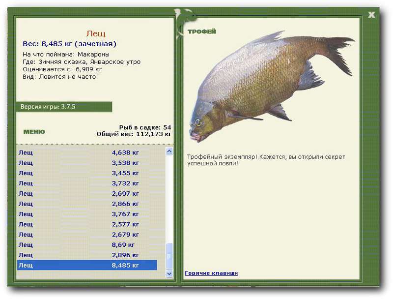 Январское утро 